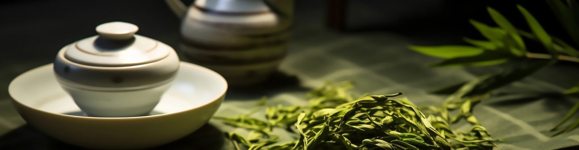 合作共赢，分享未来